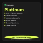 Spotify Premium Platinum 1 Month – Private Account - Cursor Unlimited